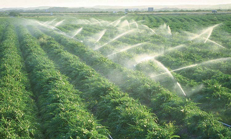 Uso agricolo per irrigazione