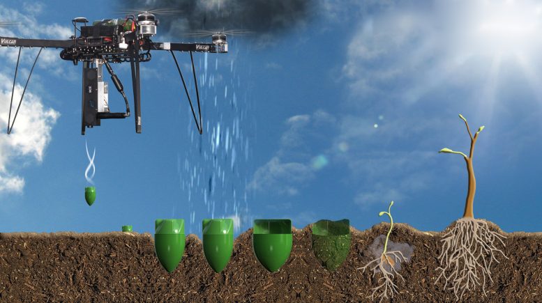 BioCarbonEngineering droni capaci di seminare