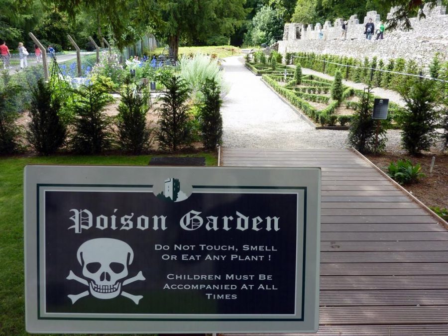 poison garden giardino dei veleni alnwick