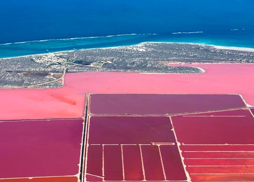 steve back hutt lagoon lago rosa australia