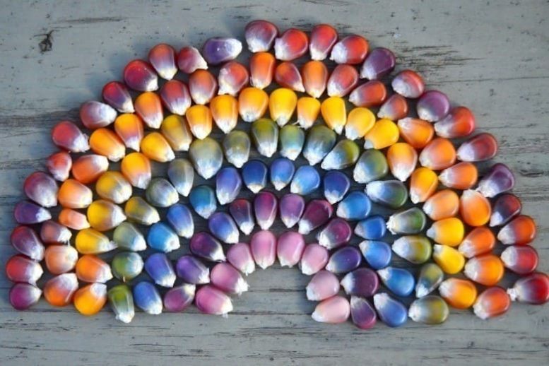 chicchi-di-mais-arcobaleno-glass-gem-corn