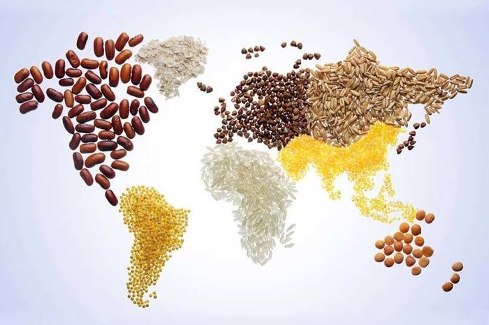 agricoltura-sostenibile-come-soluzione-per-il-problema-della-fame-nel-mondo