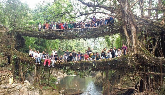 ponti-naturali-di-radici-di-Cherrapunjee-Umshiang-Double-Decker-Root-Bridge