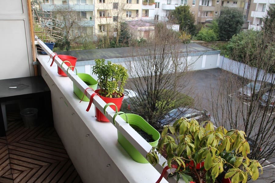 idee di orto sul balcone