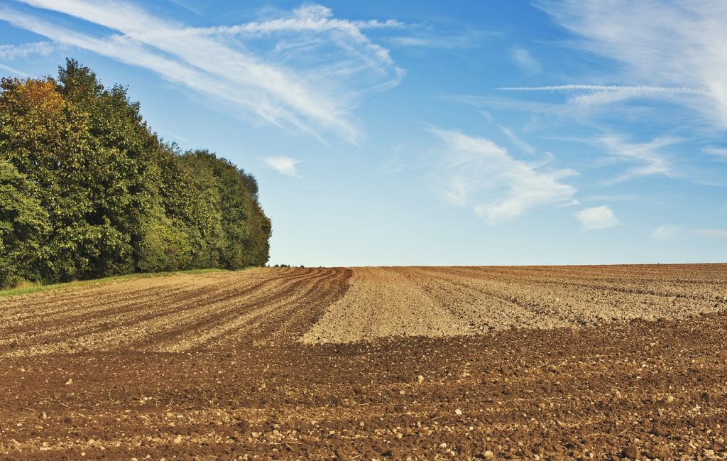 Solfato Di Ammonio Tecnico (NH4)2SO4, Minimo 98%, Sacco 250g, CAS 7783-20-2, Azoto 21%
