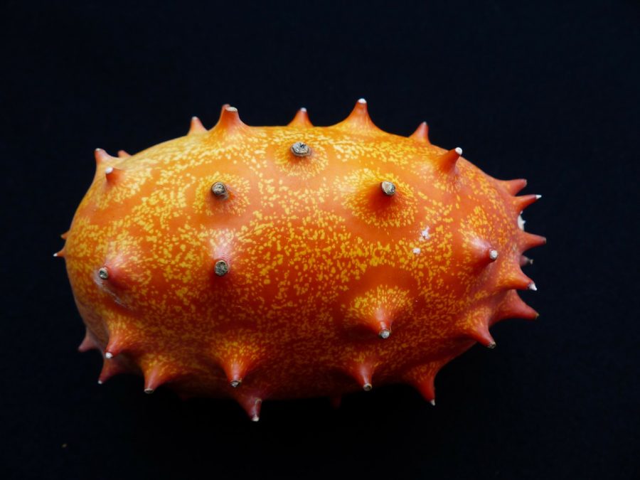 coltivazione-del-kiwano