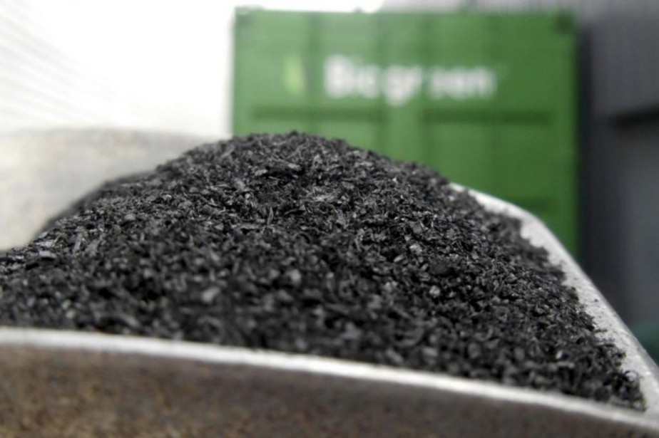 biochar