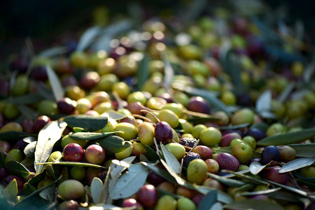 abbacchiatore olive