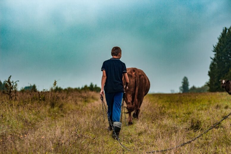 imprenditore agricolo