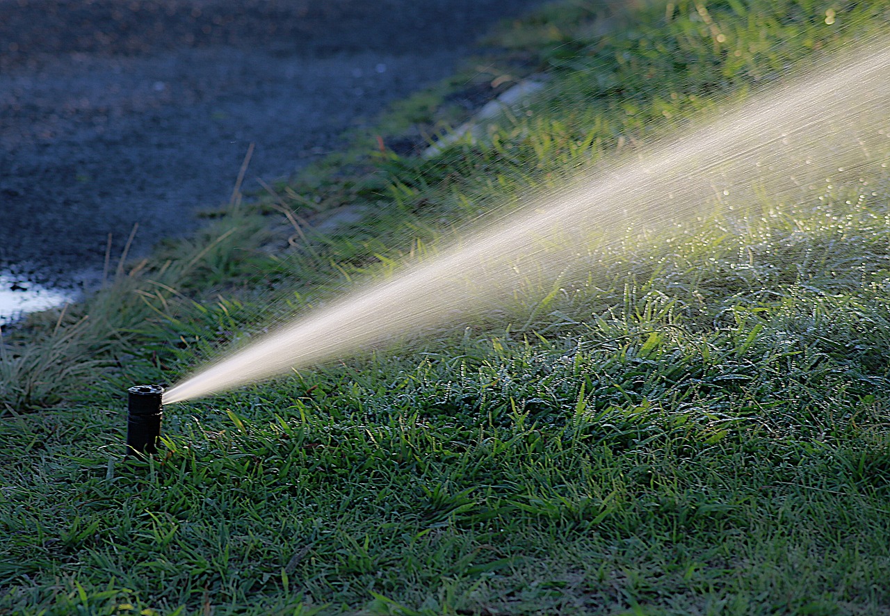 getto di un irrigatore in giardino