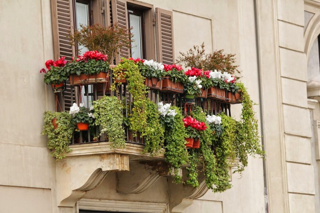 fiori sul balcone