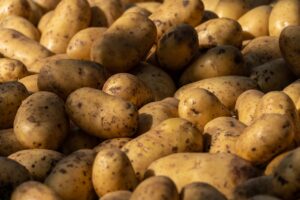 varietà di patate