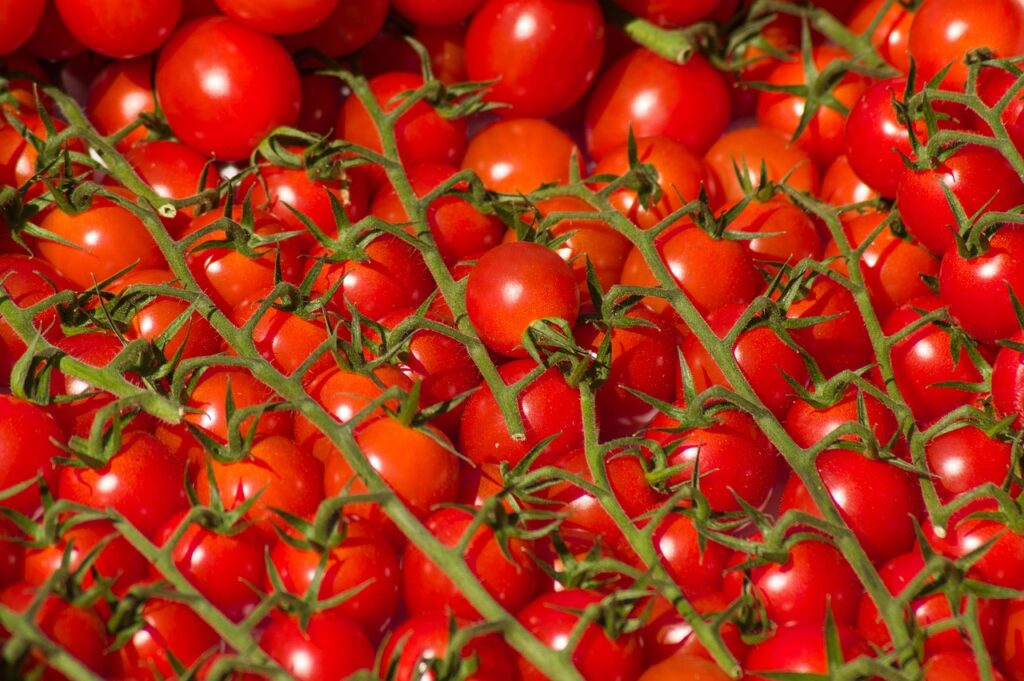 pomodori