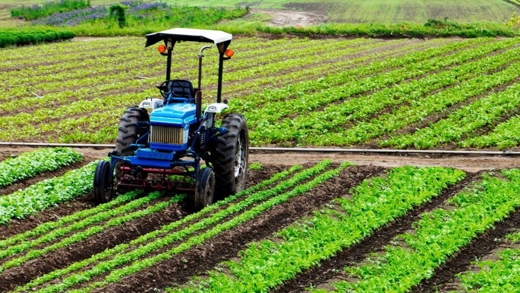 macchinario per l'agricoltura di piantagione
